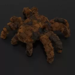 Tarantula rigged and animated 3D model