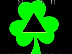 Triangle hole in Shamrock Low-poly 3D model