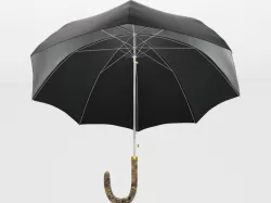 Umbrella Diplomat 3D model