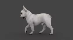 UVWD-001 Dog Textures Only 3D model
