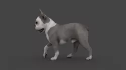 UVWD-005 Dog Textures Only 3D model