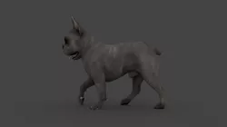 UVWD-006 Dog Textures Only 3D model