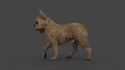 UVWD-007 Dog Textures Only 3D model