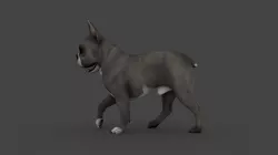 UVWD-008 Dog Textures Only 3D model