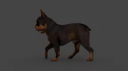 UVWD-009 Dog Textures Only 3D model