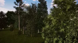 Very realistic 3d Trees collection for Twinmotion 2019 part 1 Low-poly 3D model