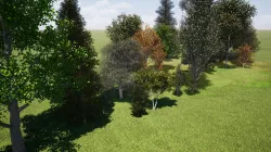 Very realistic 3d Trees collection for Twinmotion 2019 part 2 Low-poly 3D model