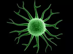 virus 3D model