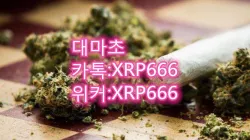 #액상떨파는곳카톡/위커:XRP666라인:QTUM666#위드구입
