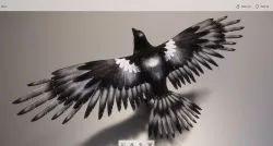 Animal Game-ready - magpie 3D model