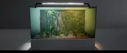 Aquariums Customizable Low-poly 3D model