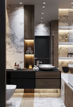 Bathroom Interior Scene  and Corona Render 3D model