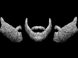 Beard 3D model