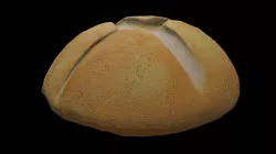 Bread Low-poly 3D model