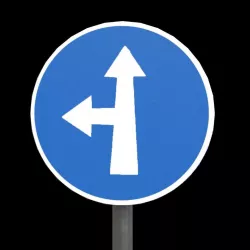 Compulsory ahead or turn Left Low-poly 3D model