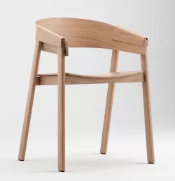 Cover Chair 3D model