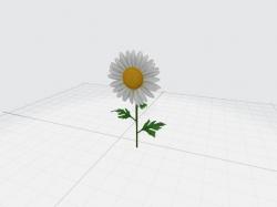 Daisy 3d Model 【 STLFinder