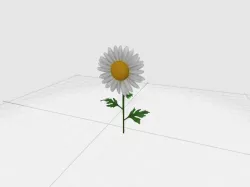 Daisy 3D model
