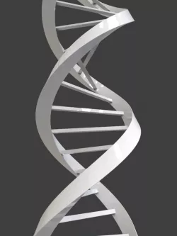 DNA Triangular 3D model