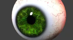 eye model 3D model