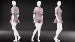 Female Fashion and Clothes - Vintage Pink 3D model