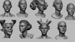 Female Head Collection 3D model
