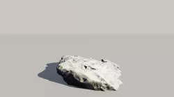 Fossil Rock 3d Scanned Model 3D model