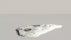 Fossil Whale Bones Scanned 3d Model 3D model