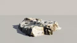 Fossile Whale Bone 3d Scan 3D model