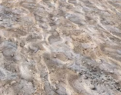 Ground terrain desert PBR pack 5 Texture