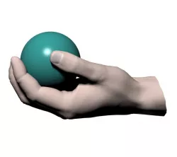 Hand holding ball 3D model
