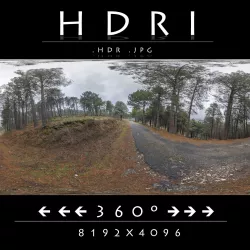 HDR ROAD FOREST 3D model