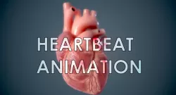 Human Heart - heartbeat animation Low-poly 3D model
