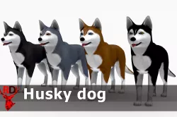 Husky dog Low-poly 3D model