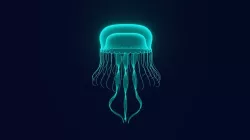 Jellyfish  3D model