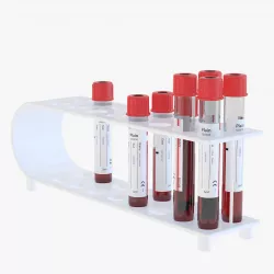Labolatory Test Tubes 3D model