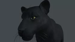 LION-001 3D model