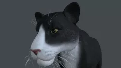 LION-002 3D model
