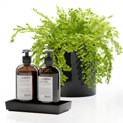 Maidenhair ferns with decor set for bathroom 3D model