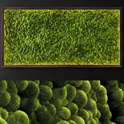 Moss wall 2 3D model
