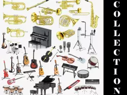 Musical instrument 39 Models 3D model