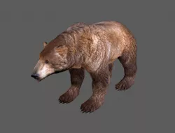 Next Gen AAA Brown Bear - game model Low-poly 3D model