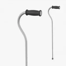Offset Cane 3D model