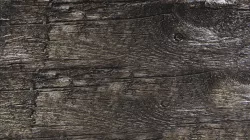 PBR Wood 4 Texture