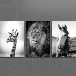 Picture Animals 3D model