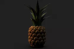 Pineapple 3D model