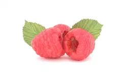 Raspberry Fruit 3D model Photoscan 3D model
