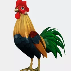 Rooster 3D model