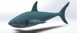 Shark 3D model