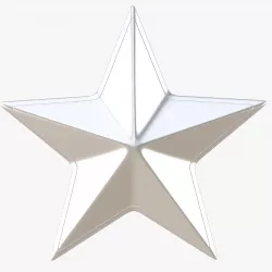 Silver Star 3D model